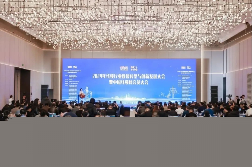 萬馬股份榮獲“2024年度中國線纜行業(yè)領(lǐng)軍品牌企業(yè)”